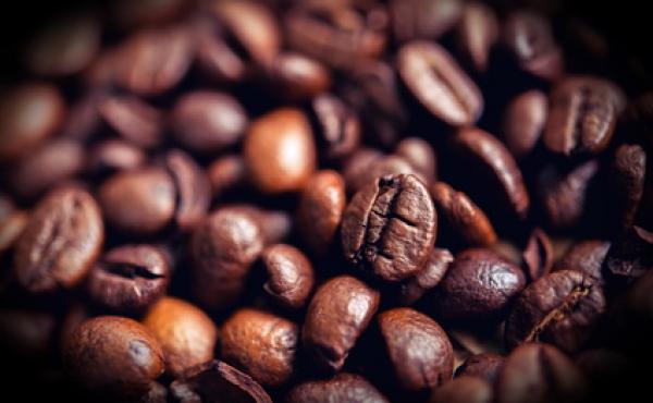 プロの知識が詰まった充実のカリキュラムで、あなたもコーヒースペシャリストに!