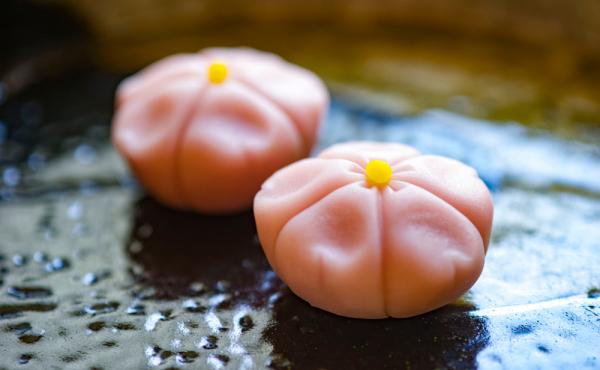 和菓子の歴史や作り方についての総合的な知識が身につきます!